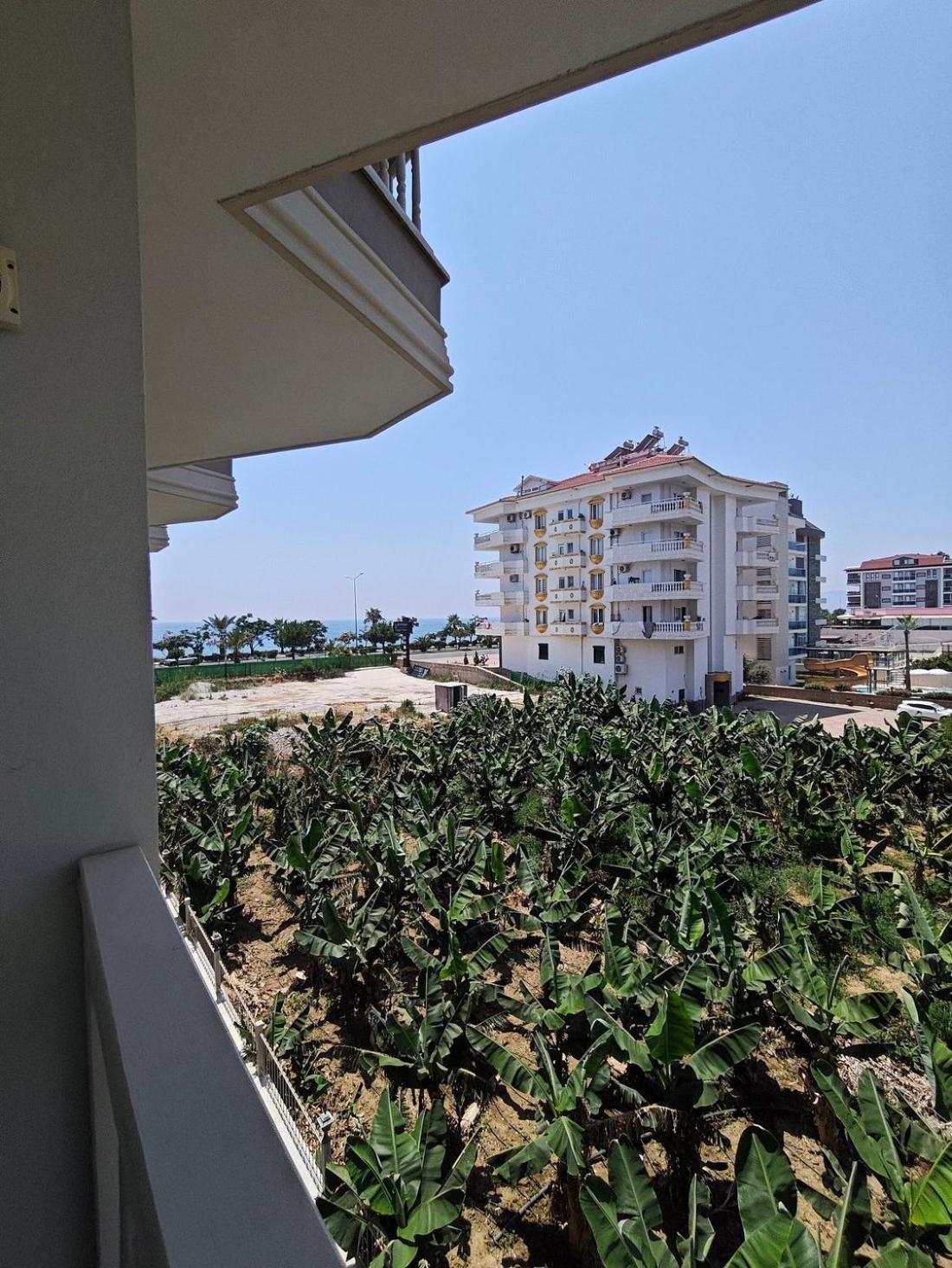 Sey Beach Hotel & Spa Alanya Zewnętrze zdjęcie